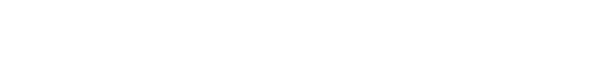 Tronchetto Parking